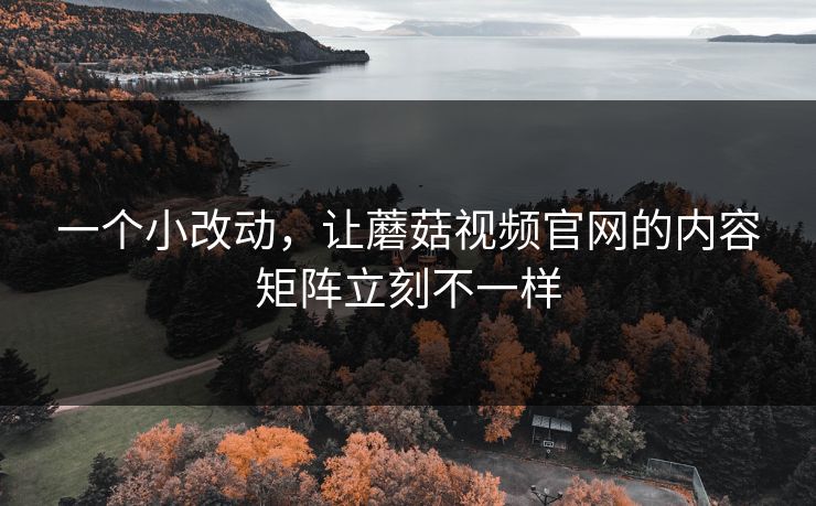 一个小改动，让蘑菇视频官网的内容矩阵立刻不一样